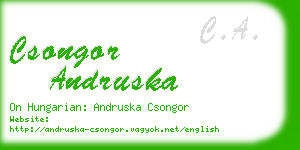 csongor andruska business card